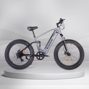 Vélo électrique Biwbik SANDY