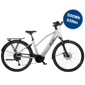 VTC Électrique T-BIRD EVERGLADES 2024